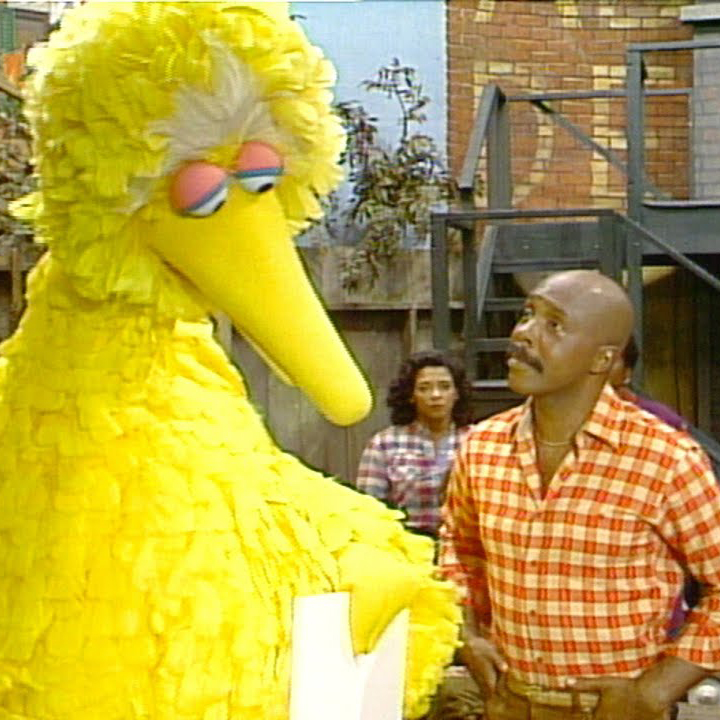 Big bird learns about death